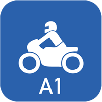 a1